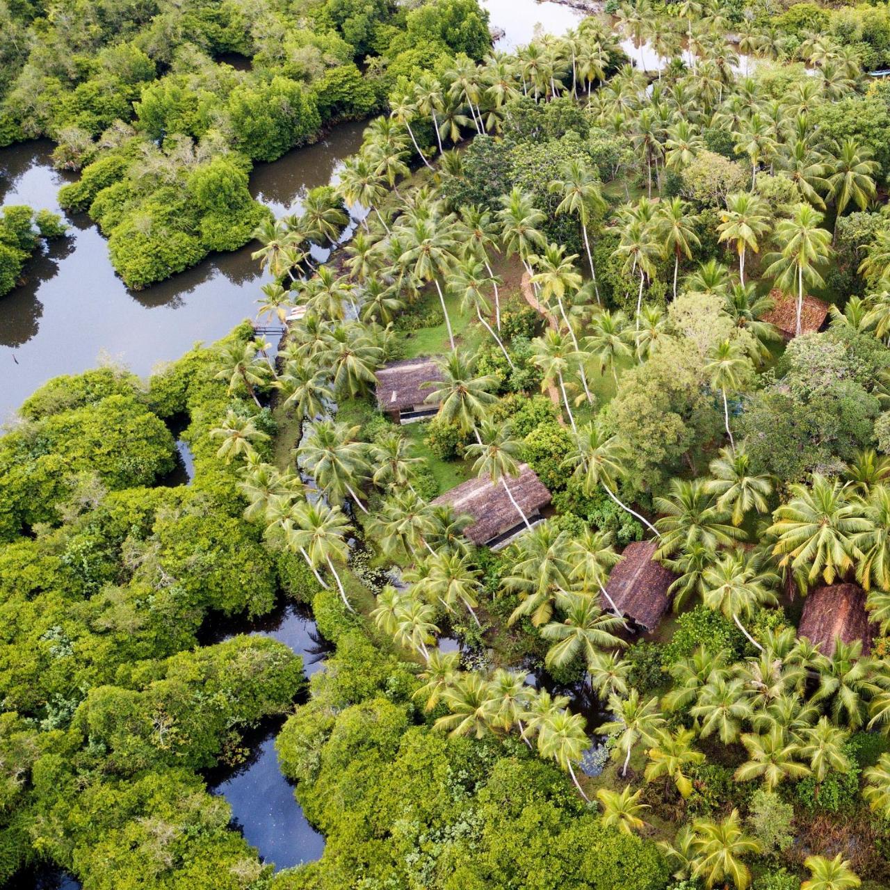 Kaju Green Eco Lodges Unawatuna Exterior photo