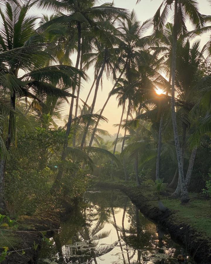 Kaju Green Eco Lodges Unawatuna Exterior photo